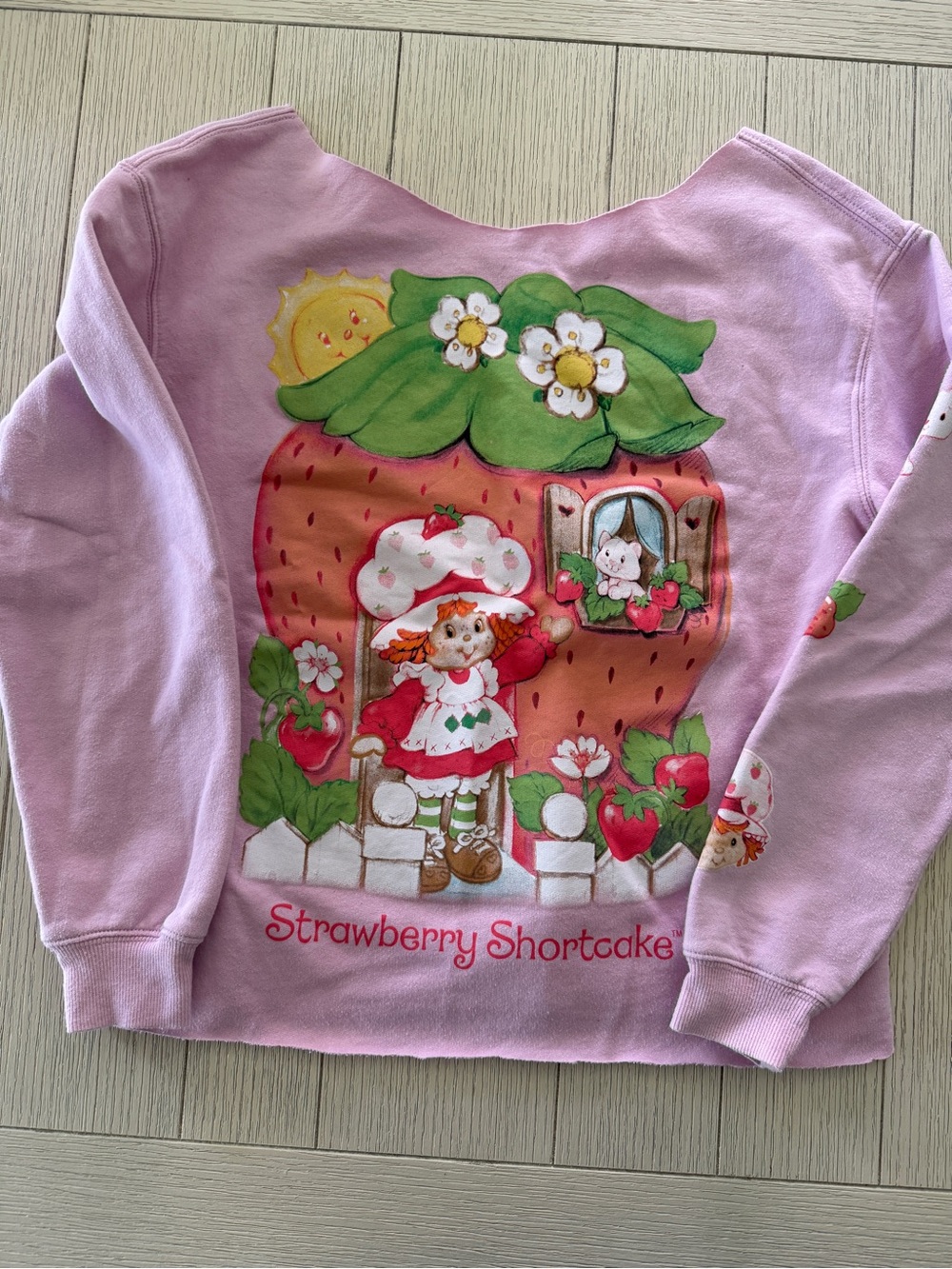 Hybrid Apparel Pink Strawberry Shortcake Graphic Sweatshirt